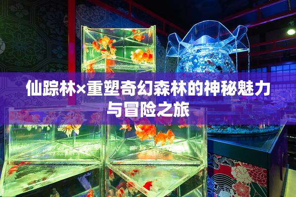 仙踪林×重塑奇幻森林的神秘魅力与冒险之旅