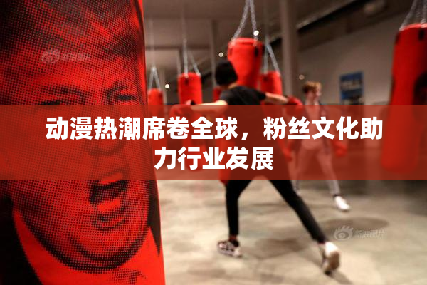 动漫热潮席卷全球，粉丝文化助力行业发展