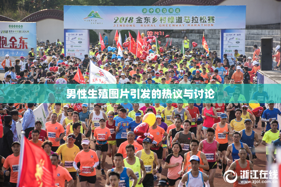 男性生殖图片引发的热议与讨论