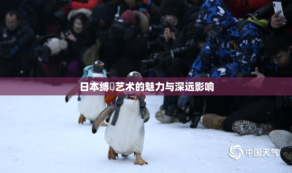 日本缚縄艺术的魅力与深远影响