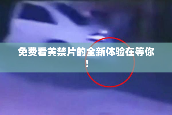 免费看黄禁片的全新体验在等你！