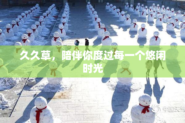 久久草，陪伴你度过每一个悠闲时光