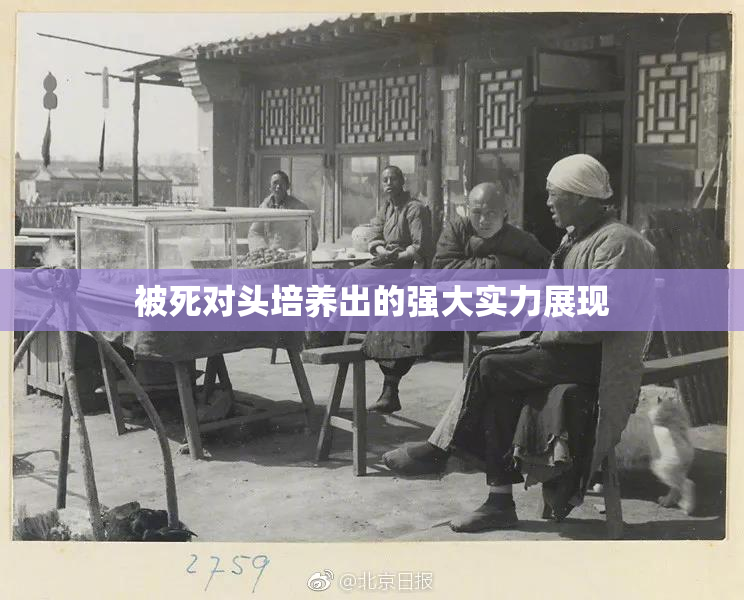 被死对头培养出的强大实力展现