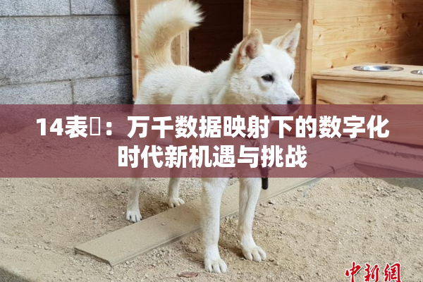 14表妺：万千数据映射下的数字化时代新机遇与挑战