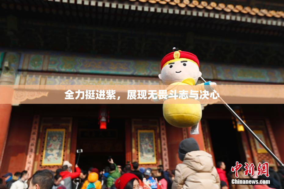全力挺进紫，展现无畏斗志与决心