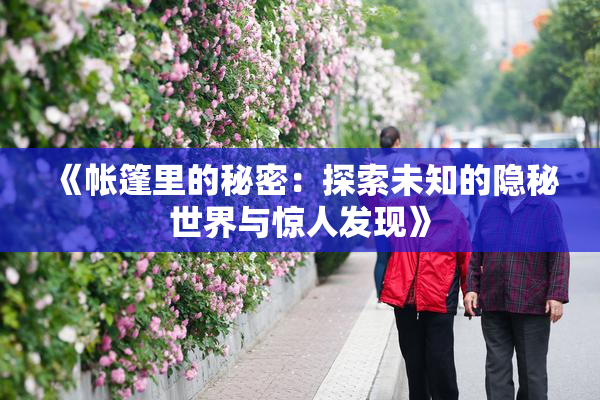 《帐篷里的秘密：探索未知的隐秘世界与惊人发现》