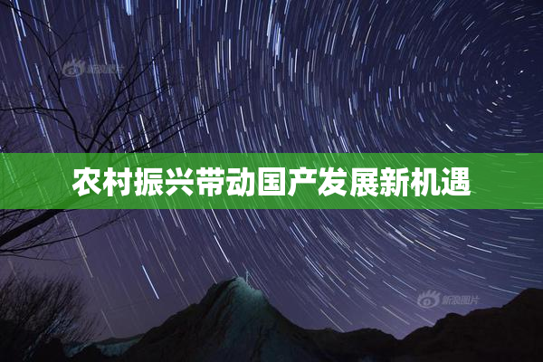 农村振兴带动国产发展新机遇