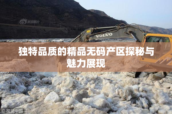 独特品质的精品无码产区探秘与魅力展现