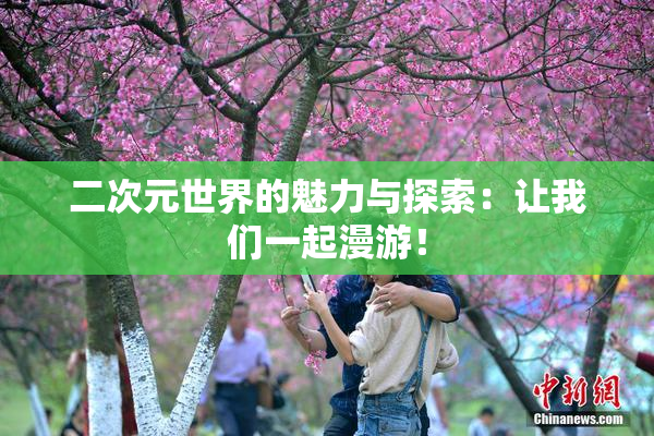 二次元世界的魅力与探索：让我们一起漫游！