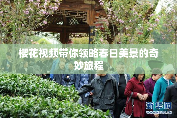 樱花视频带你领略春日美景的奇妙旅程