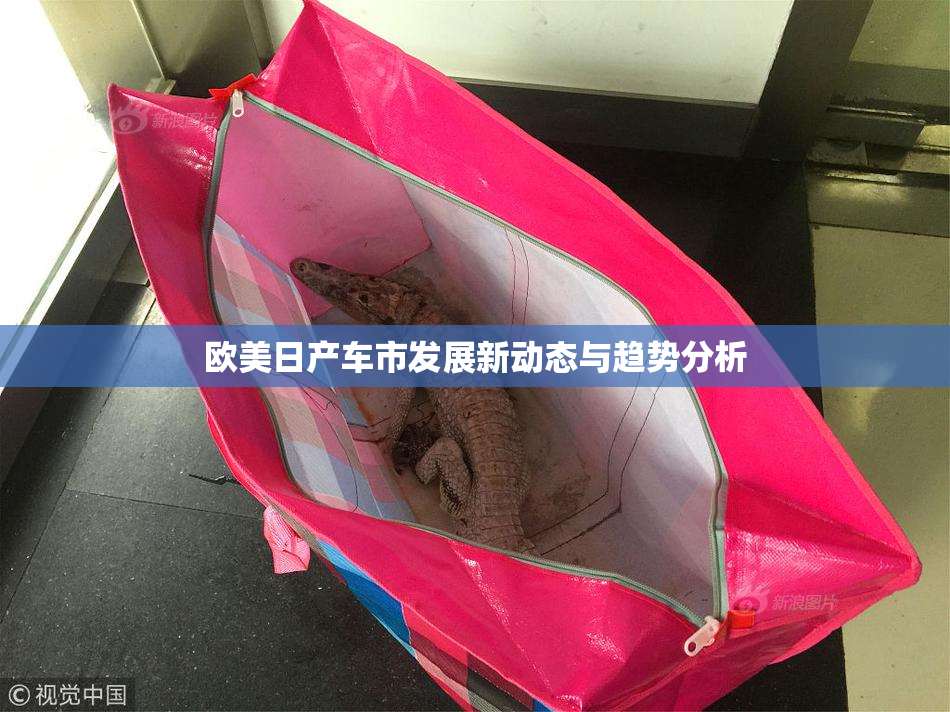 欧美日产车市发展新动态与趋势分析