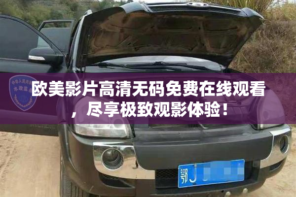 欧美影片高清无码免费在线观看，尽享极致观影体验！