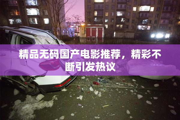 精品无码国产电影推荐，精彩不断引发热议