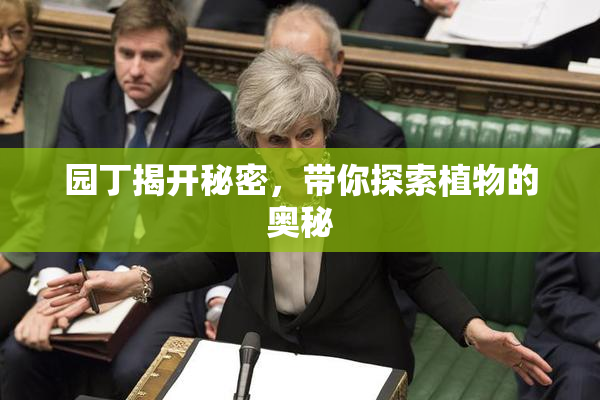 园丁揭开秘密，带你探索植物的奥秘