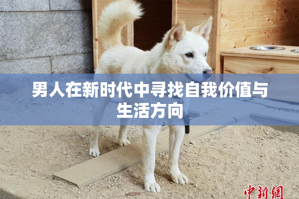 男人在新时代中寻找自我价值与生活方向