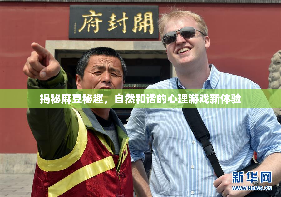 揭秘麻豆秘趣，自然和谐的心理游戏新体验