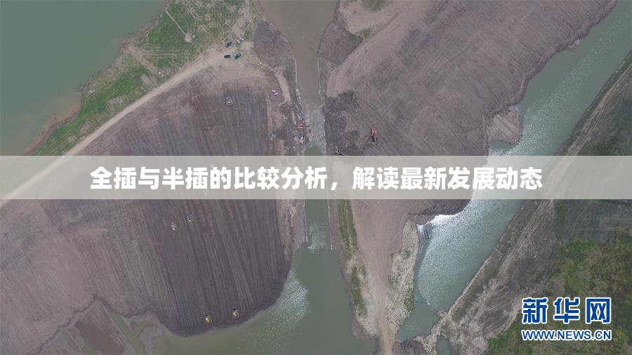 全插与半插的比较分析，解读最新发展动态