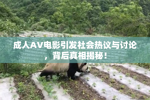 成人AV电影引发社会热议与讨论，背后真相揭秘！