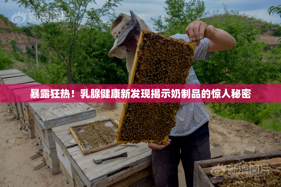 暴露狂热！乳腺健康新发现揭示奶制品的惊人秘密