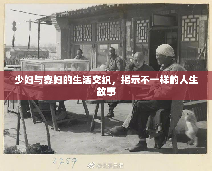 少妇与寡妇的生活交织，揭示不一样的人生故事