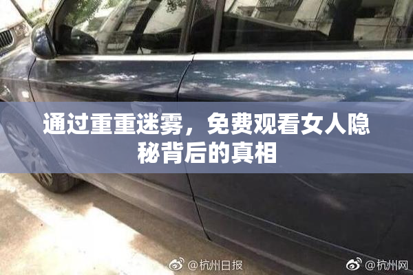 通过重重迷雾，免费观看女人隐秘背后的真相