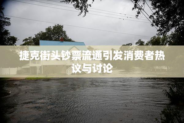 捷克街头钞票流通引发消费者热议与讨论