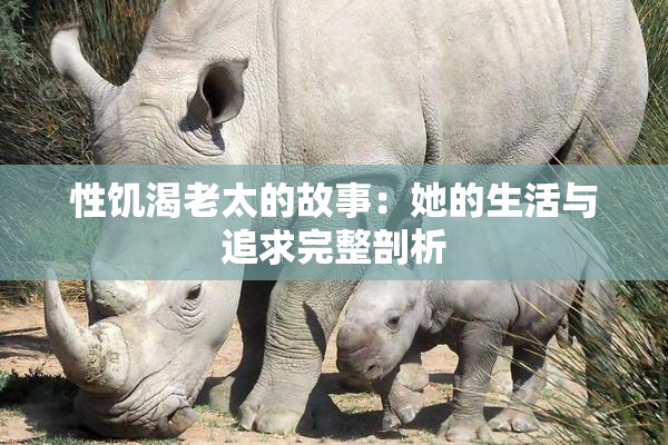 性饥渴老太的故事：她的生活与追求完整剖析