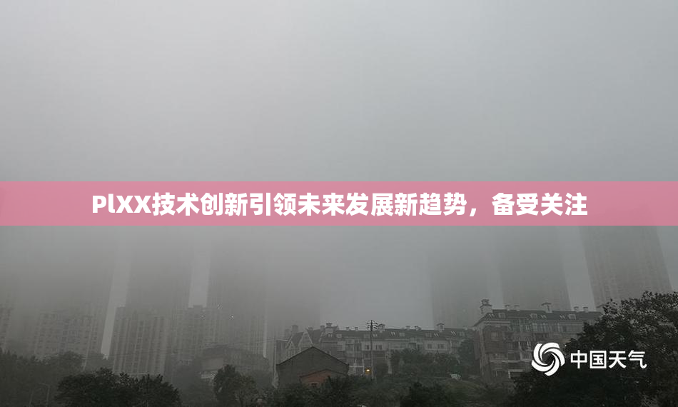 PlXX技术创新引领未来发展新趋势，备受关注