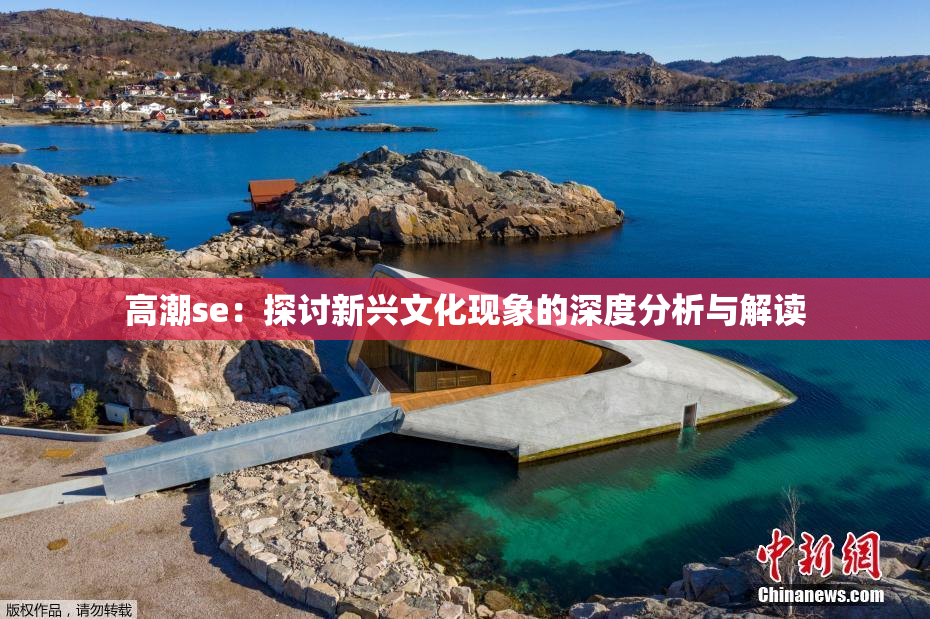 高潮se：探讨新兴文化现象的深度分析与解读