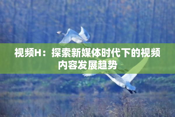 视频H：探索新媒体时代下的视频内容发展趋势
