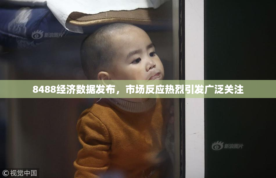 8488经济数据发布，市场反应热烈引发广泛关注