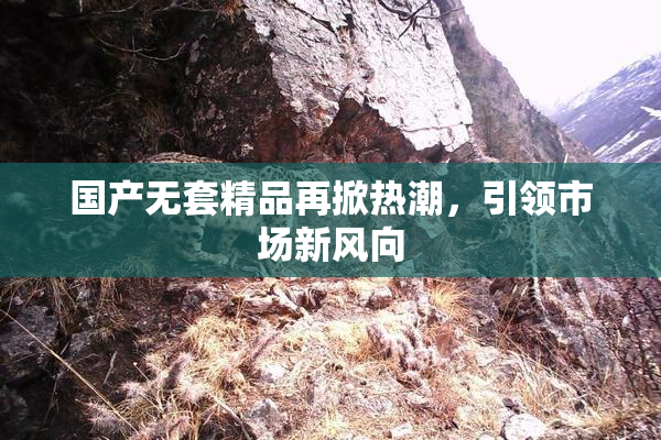 国产无套精品再掀热潮，引领市场新风向