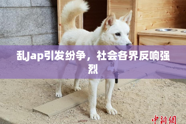 乱Jap引发纷争，社会各界反响强烈