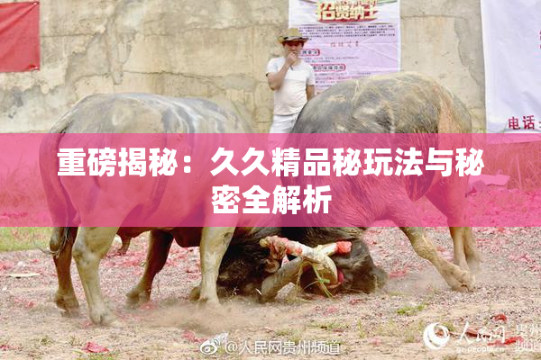 重磅揭秘：久久精品秘玩法与秘密全解析