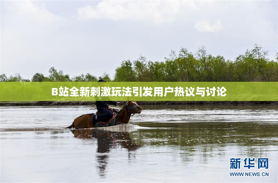 B站全新刺激玩法引发用户热议与讨论
