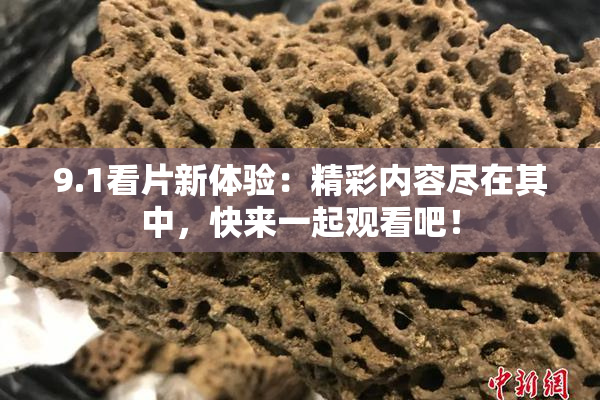 9.1看片新体验：精彩内容尽在其中，快来一起观看吧！