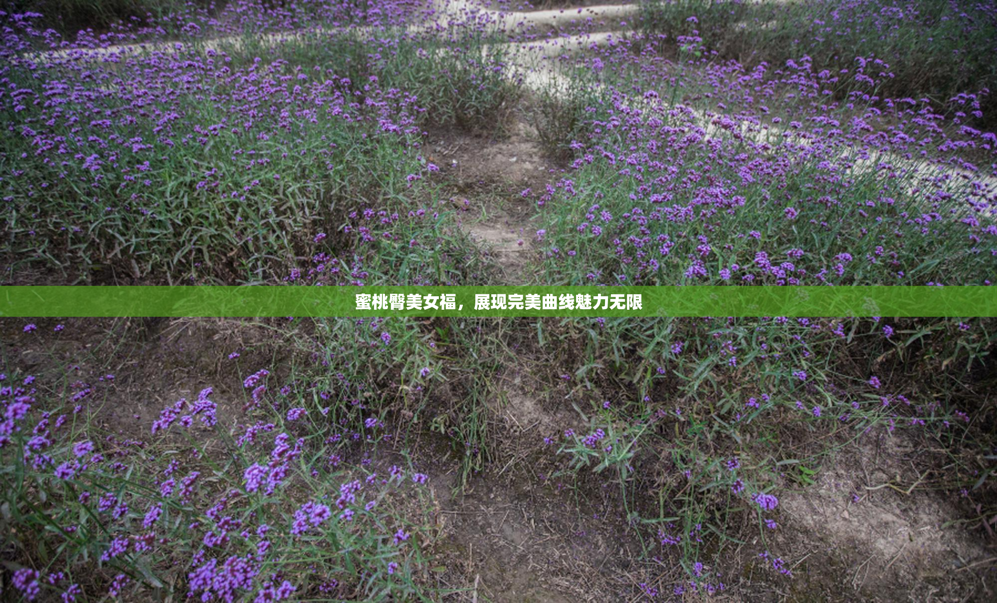 蜜桃臀美女福，展现完美曲线魅力无限