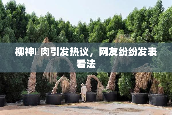 柳神婬肉引发热议，网友纷纷发表看法