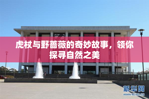 虎杖与野蔷薇的奇妙故事，领你探寻自然之美