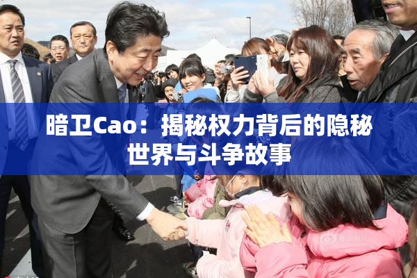暗卫Cao：揭秘权力背后的隐秘世界与斗争故事