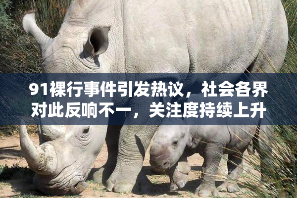 91裸行事件引发热议，社会各界对此反响不一，关注度持续上升