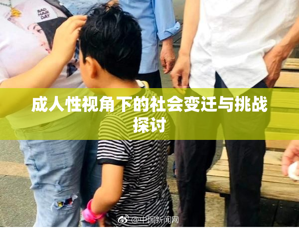 成人性视角下的社会变迁与挑战探讨