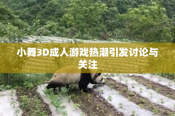 小舞3D成人游戏热潮引发讨论与关注