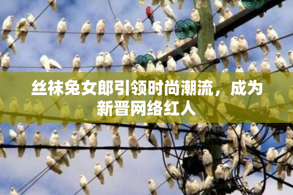 丝袜兔女郎引领时尚潮流，成为新晋网络红人