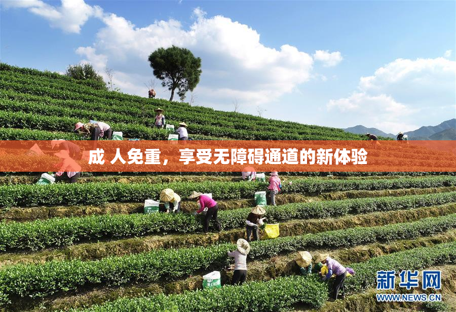 成 人免重，享受无障碍通道的新体验