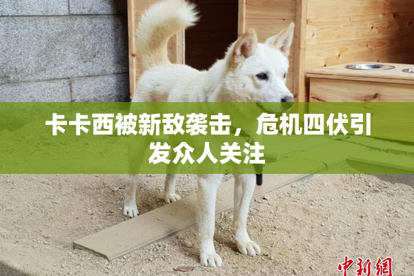 卡卡西被新敌袭击，危机四伏引发众人关注