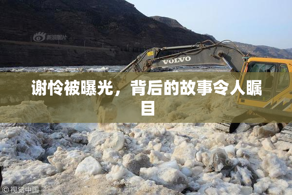 谢怜被曝光，背后的故事令人瞩目