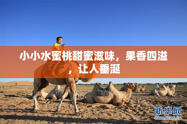 小小水蜜桃甜蜜滋味，果香四溢，让人垂涎