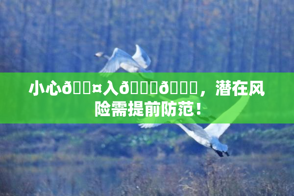 小心🐤入🍑🍑，潜在风险需提前防范！
