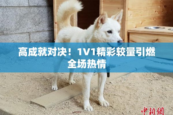 高成就对决！1V1精彩较量引燃全场热情
